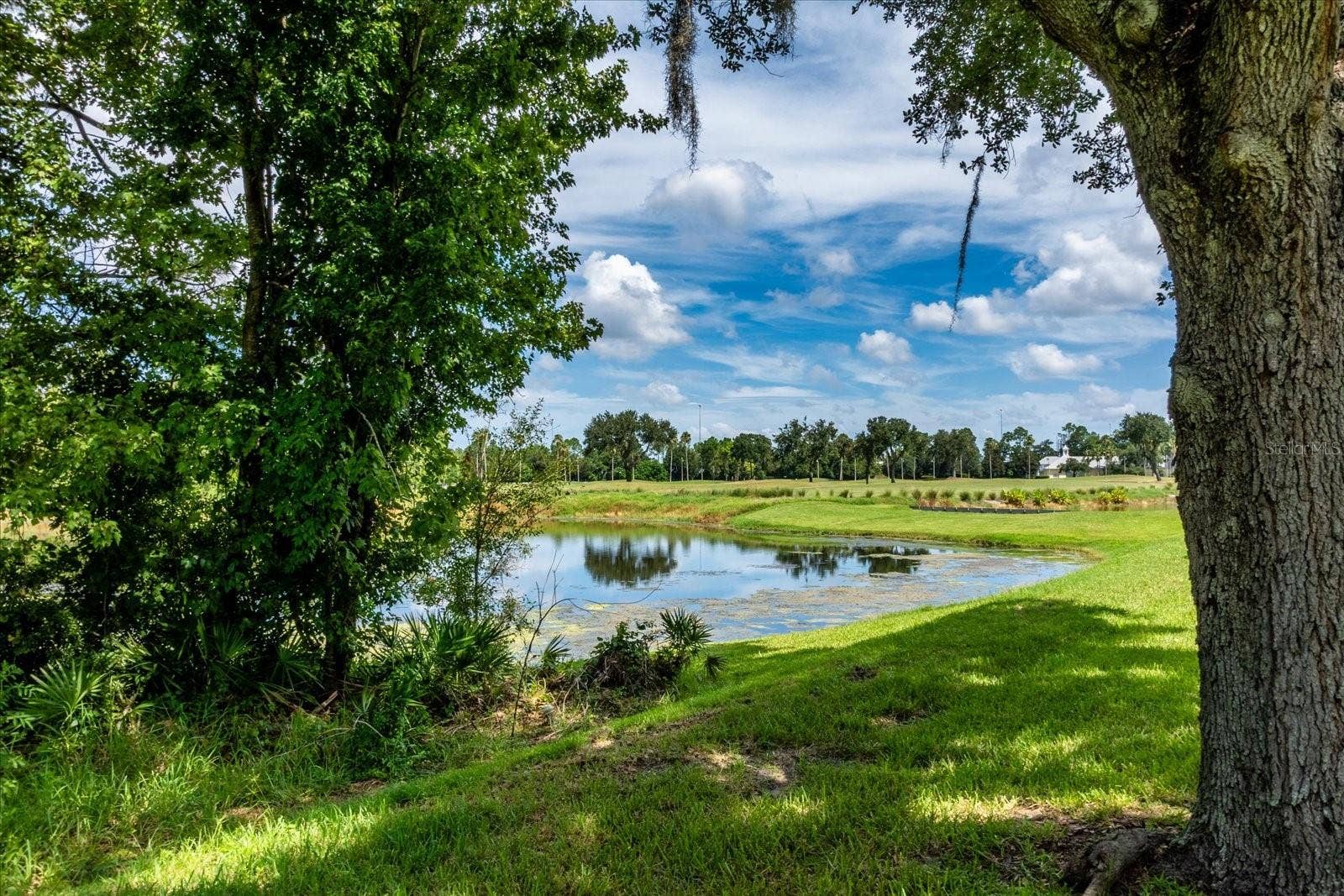 915 JASMINE STREET, Celebration, FL 34747 915 JASMINE STREET, Celebration, FL 34747