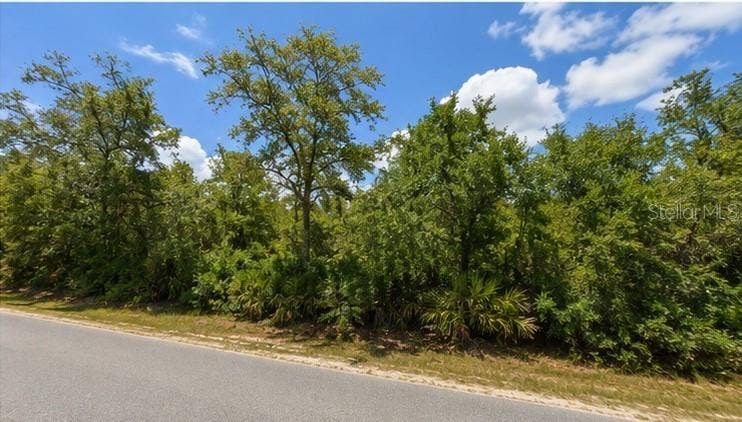 Property photo for 00 COUNTRY ROAD, Eustis, FL