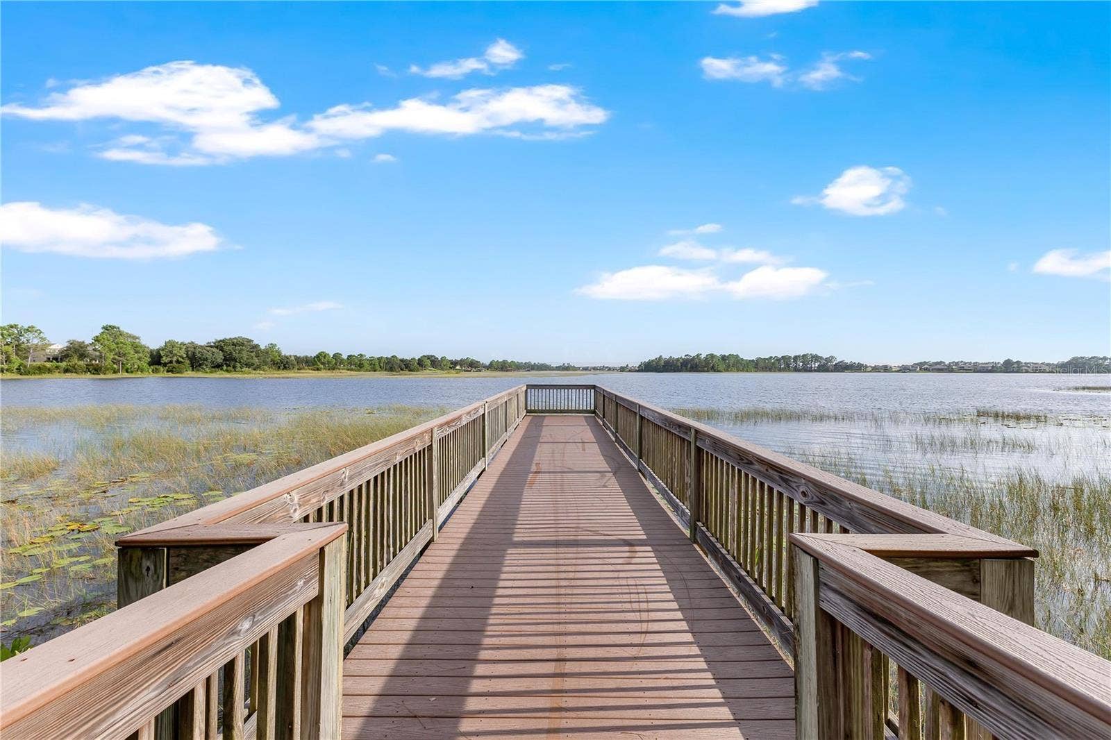8711 EDEN COVE DRIVE, Winter Garden, FL 34787 8711 EDEN COVE DRIVE, Winter Garden, FL 34787