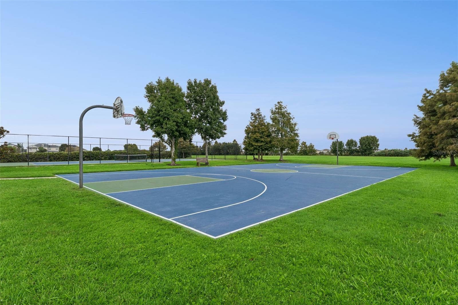 589 BLUE CYPRESS DRIVE, Groveland, FL 34736 Community Basketball