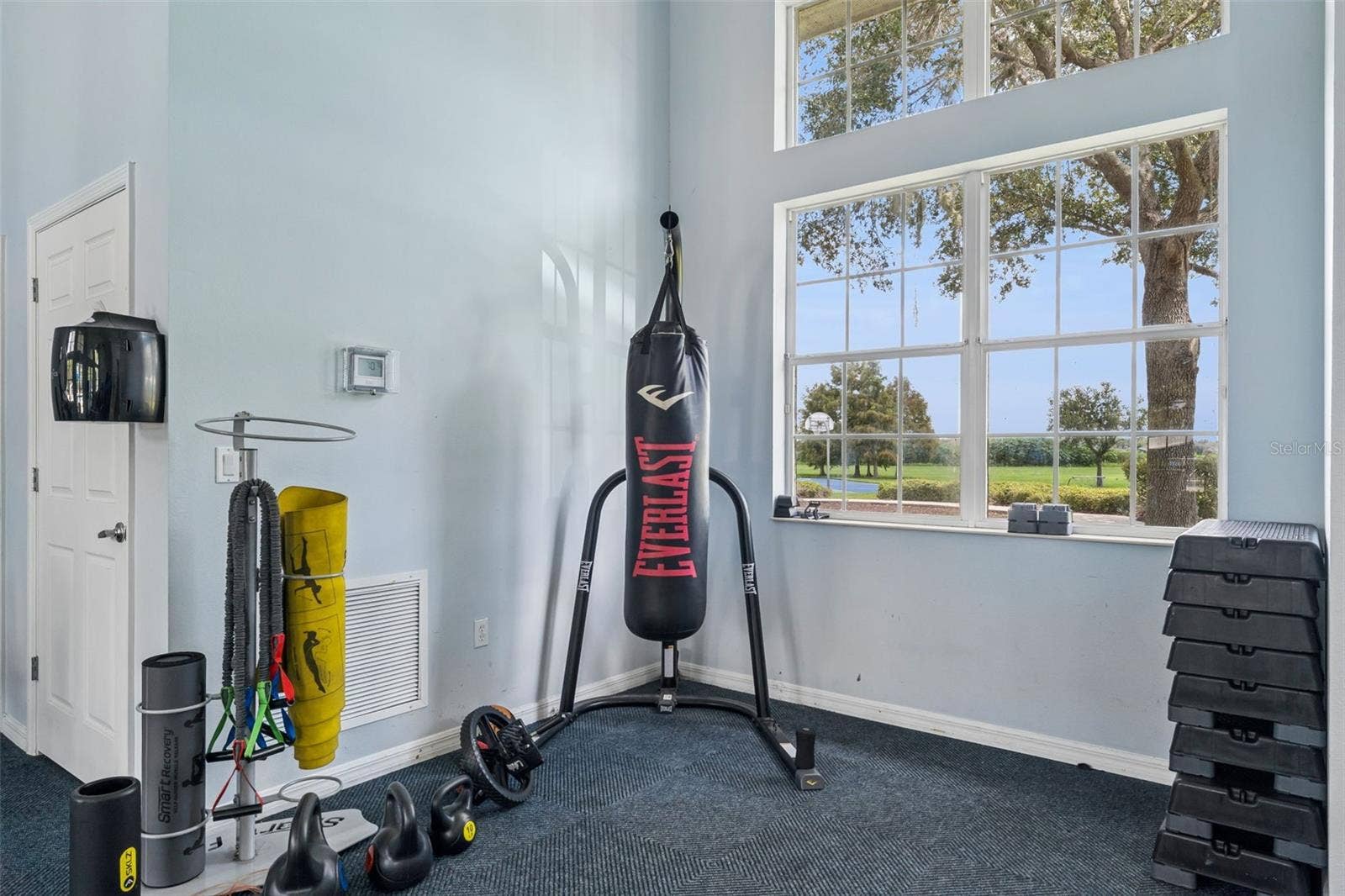 589 BLUE CYPRESS DRIVE, Groveland, FL 34736 Community Gym