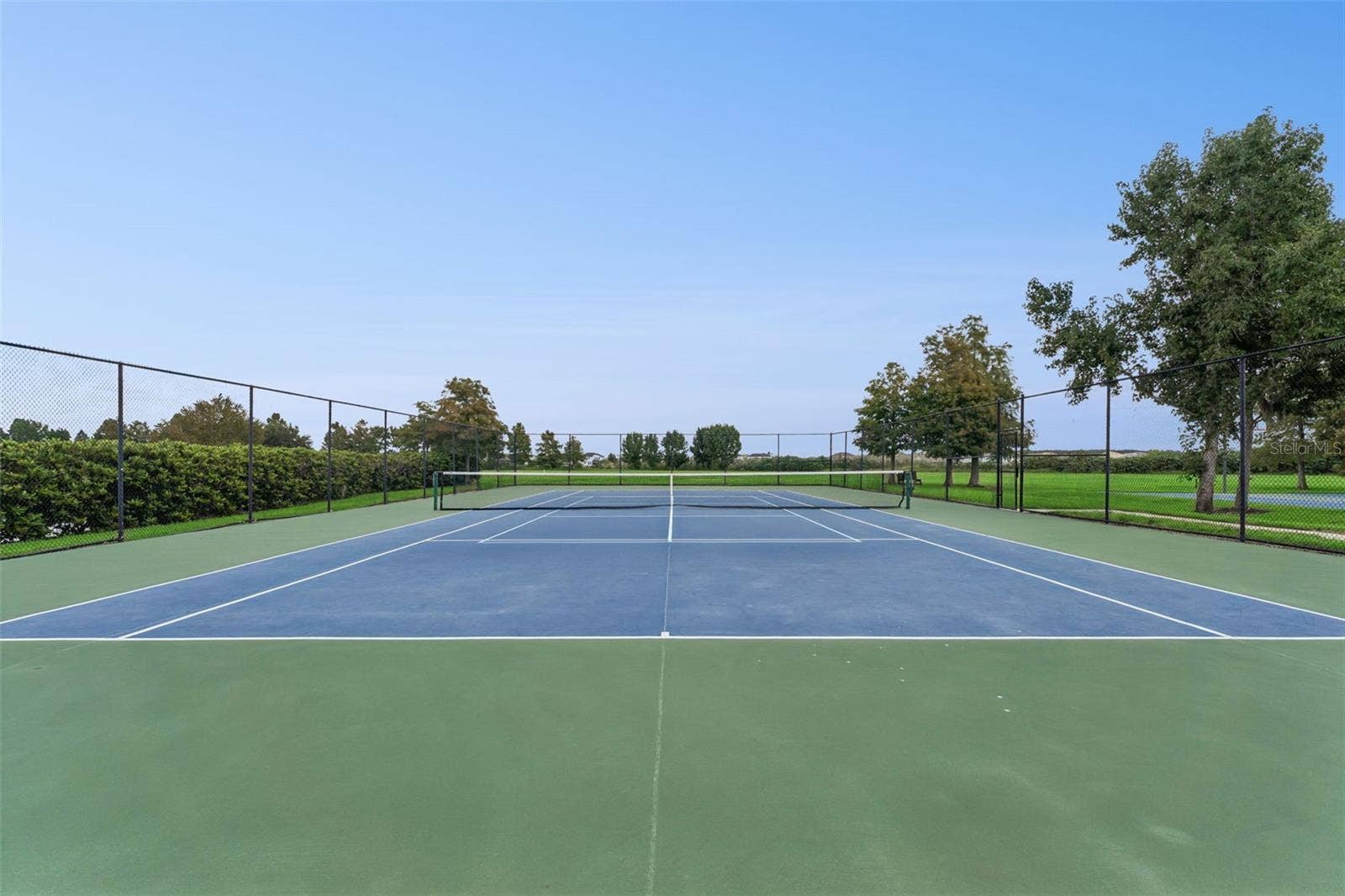 589 BLUE CYPRESS DRIVE, Groveland, FL 34736 Community Tennis and Pickle Ball