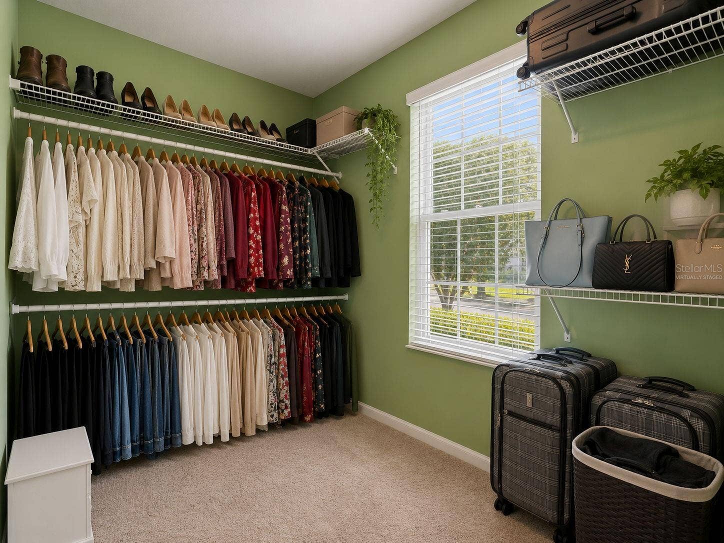 589 BLUE CYPRESS DRIVE, Groveland, FL 34736 Primary Bedroom Closet Virtually Staged