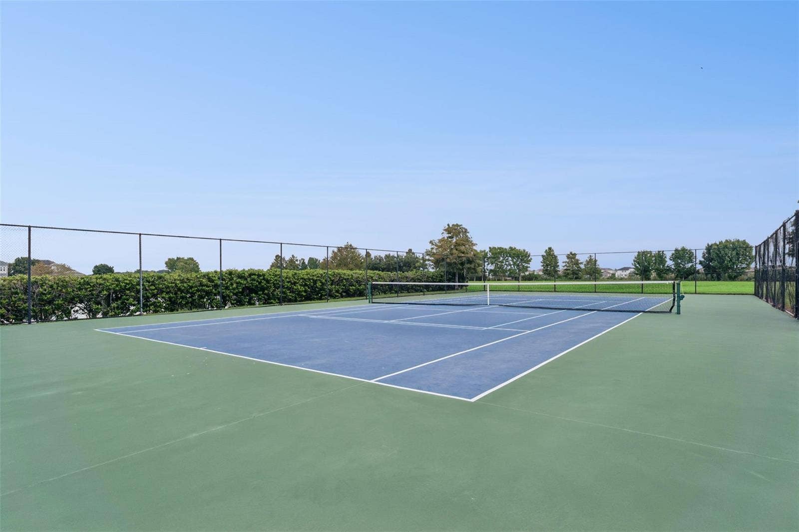 589 BLUE CYPRESS DRIVE, Groveland, FL 34736 Community Tennis and Pickle Ball