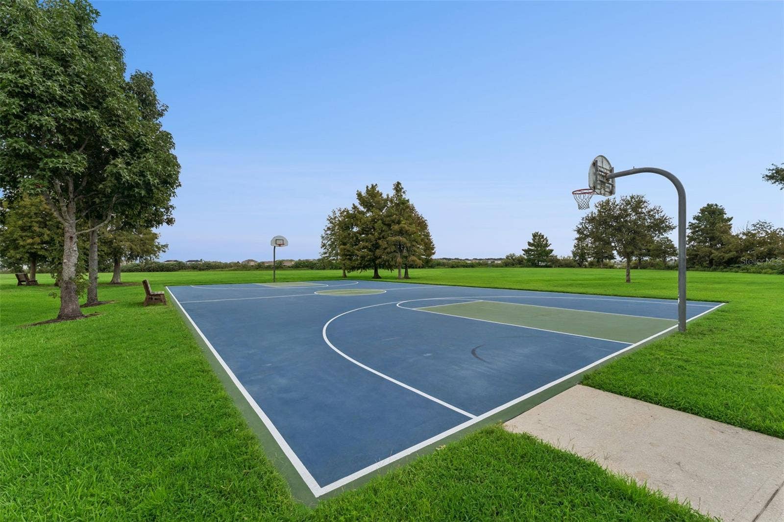 589 BLUE CYPRESS DRIVE, Groveland, FL 34736 Community Basketball