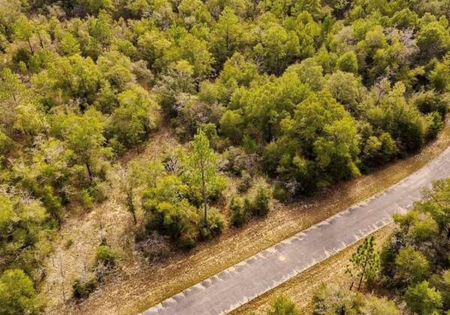 Property photo for lot #41 DANDELION DRIVE, Chipley, FL