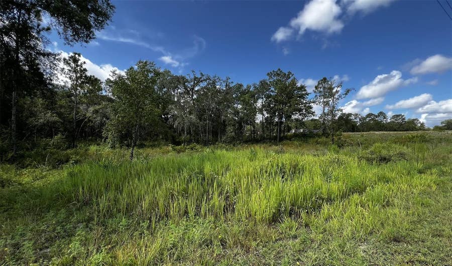 Property photo for 7398 WAGERS DRIVE, Webster, FL