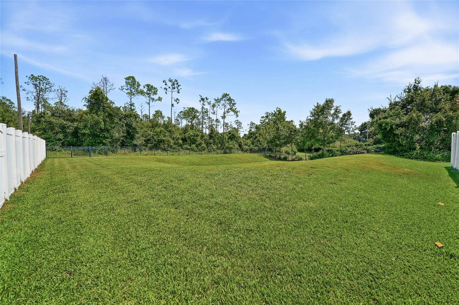 17041 FLORENCE VIEW DRIVE, Montverde, FL 34756