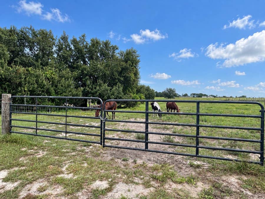 Property photo for MAMMOTH GROVE ROAD, Lake Wales, FL