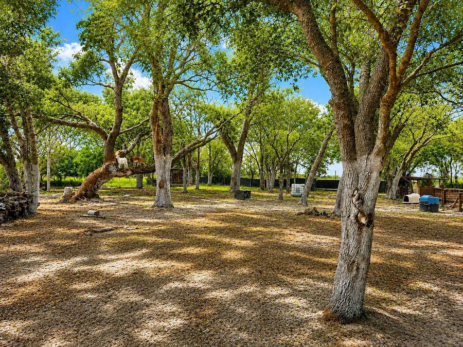 Property photo for MAMMOTH GROVE ROAD, Lake Wales, FL