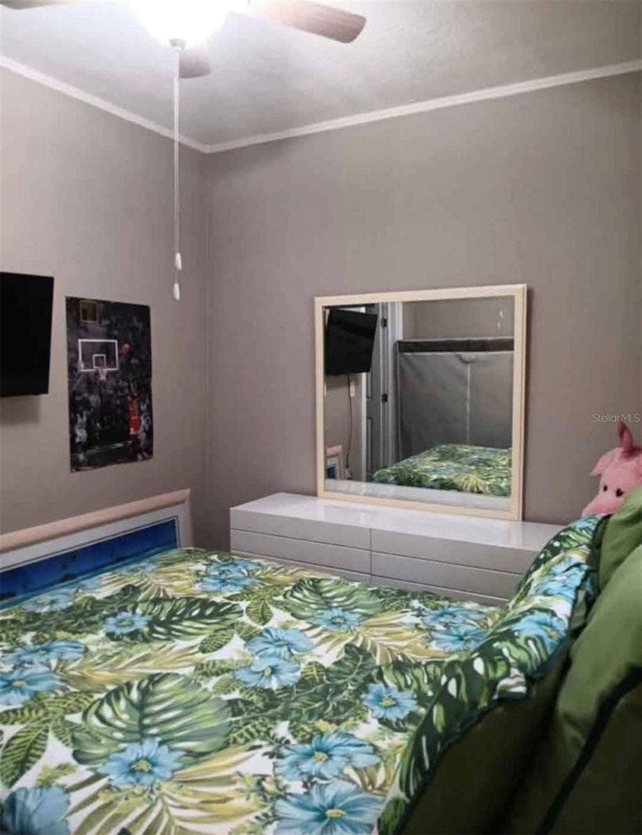 503 EARL STREET, Daytona Beach, FL 32118 503 EARL STREET, Daytona Beach, FL 32118