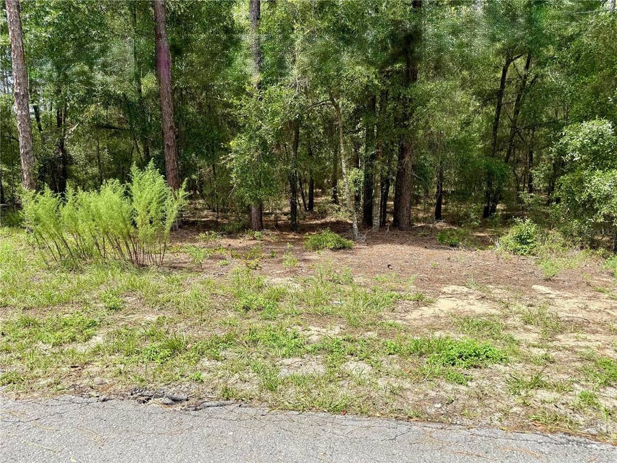 Property photo for SW 205TH CIRCLE, Dunnellon, FL