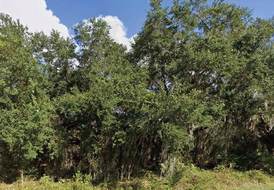 Property photo for 0 MINEOLA DRIVE, Indian Lake Estates, FL
