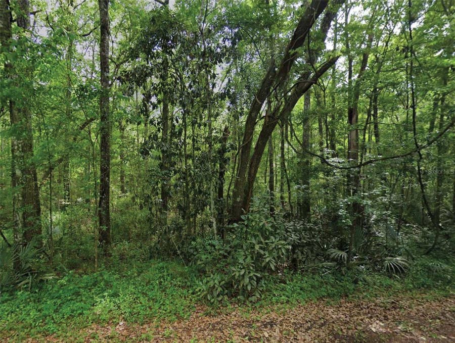 Property photo for SCENIC DRIVE, Middleburg, FL