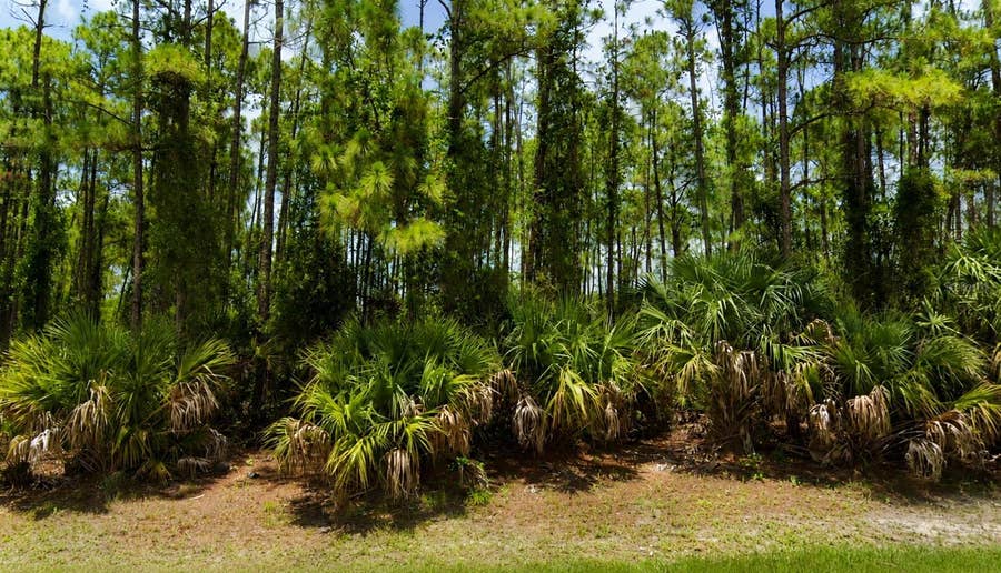 Property photo for 00 KEDGEWICK LANE, North Port, FL