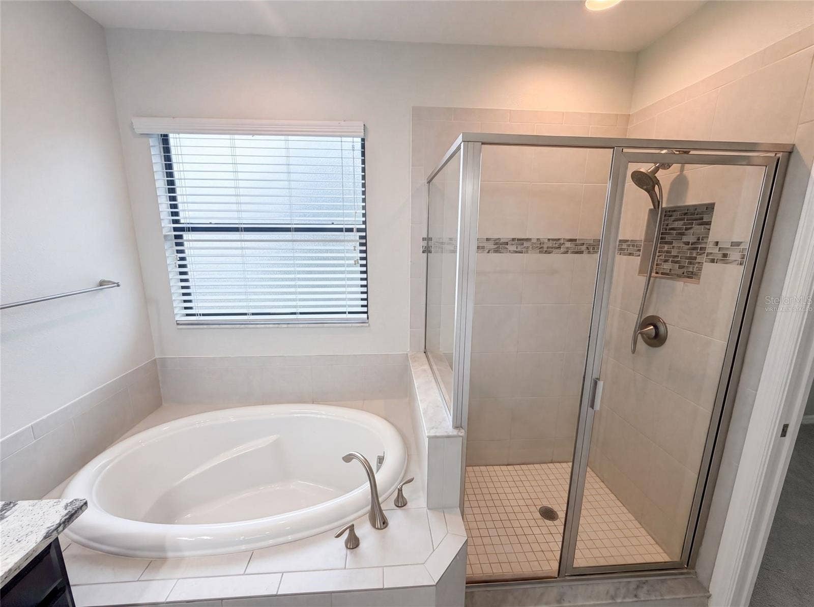 4848 WANDERING WAY, Wesley Chapel, FL 33544 Virtually Staged