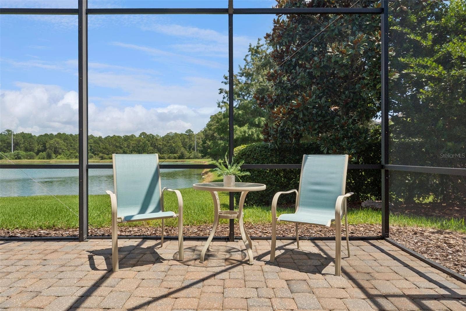 Pond view from the screen enclosed covered lanai
