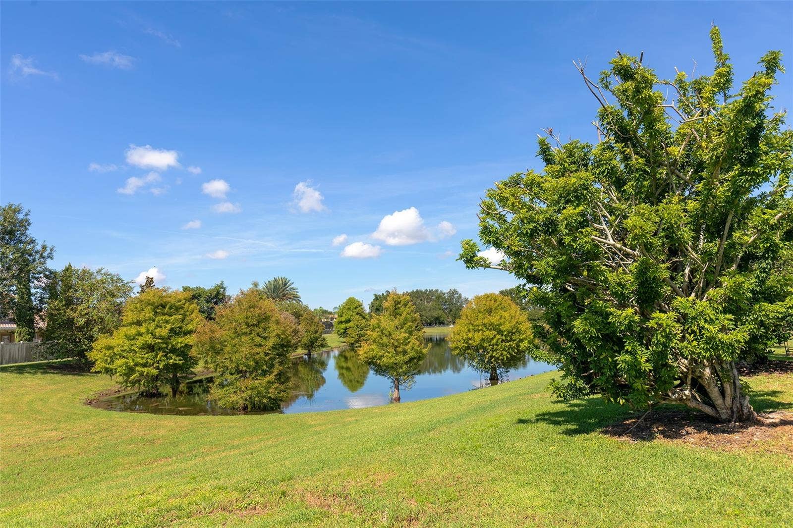 5314 CHISWICK CIRCLE, Belle Isle, FL 32812 Backyard with Pond View