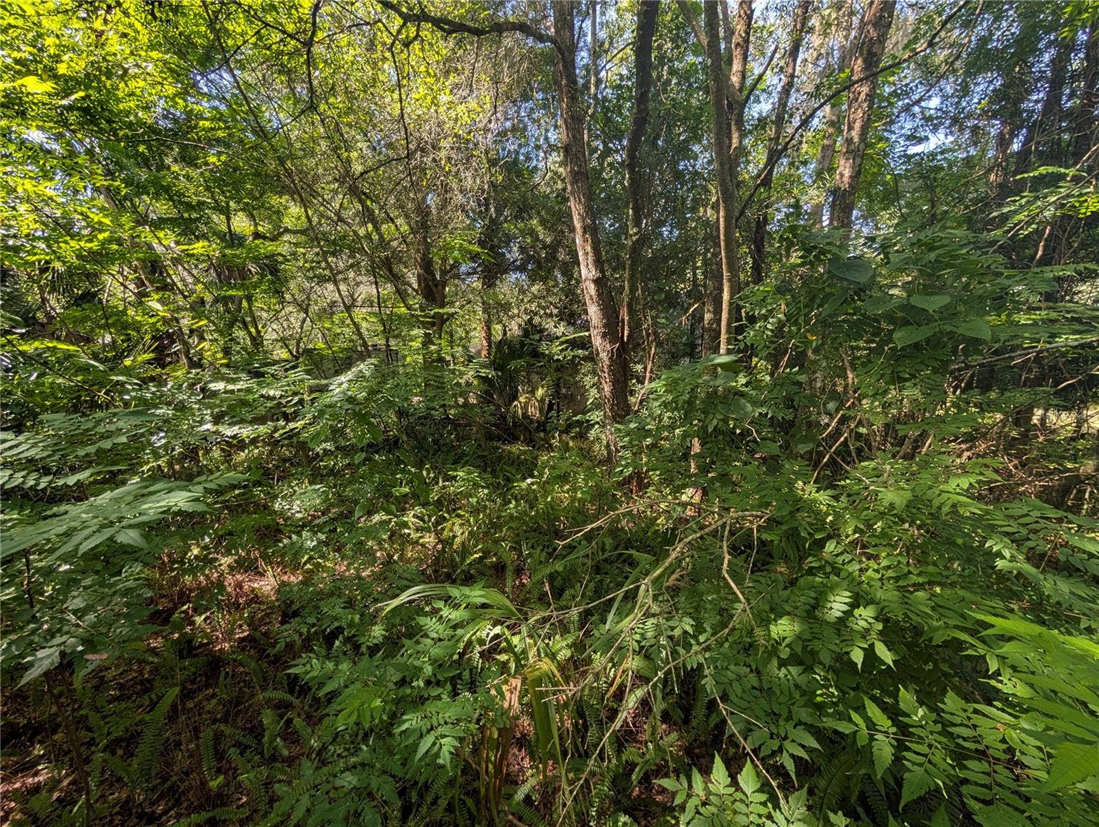 700 GRANT AVENUE, Deland, FL 32724 Seclusion
