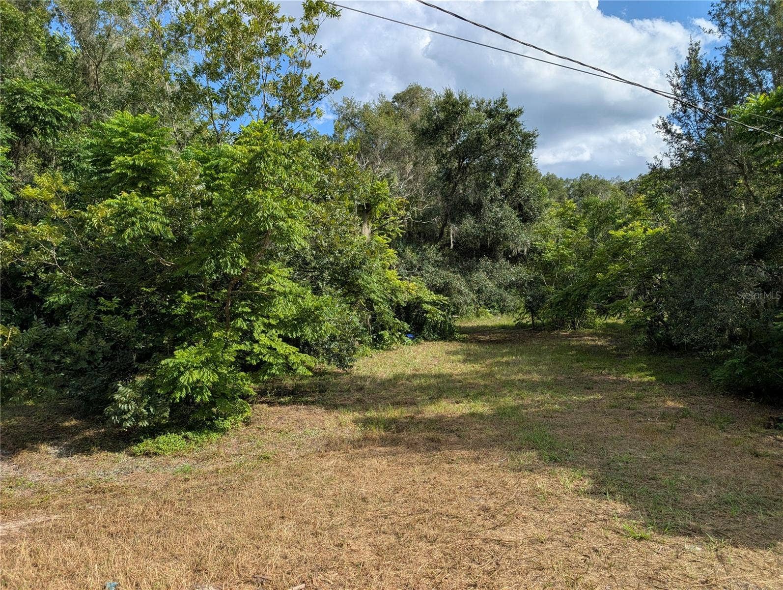 700 GRANT AVENUE, Deland, FL 32724 You can park at the first opening to walk the property.