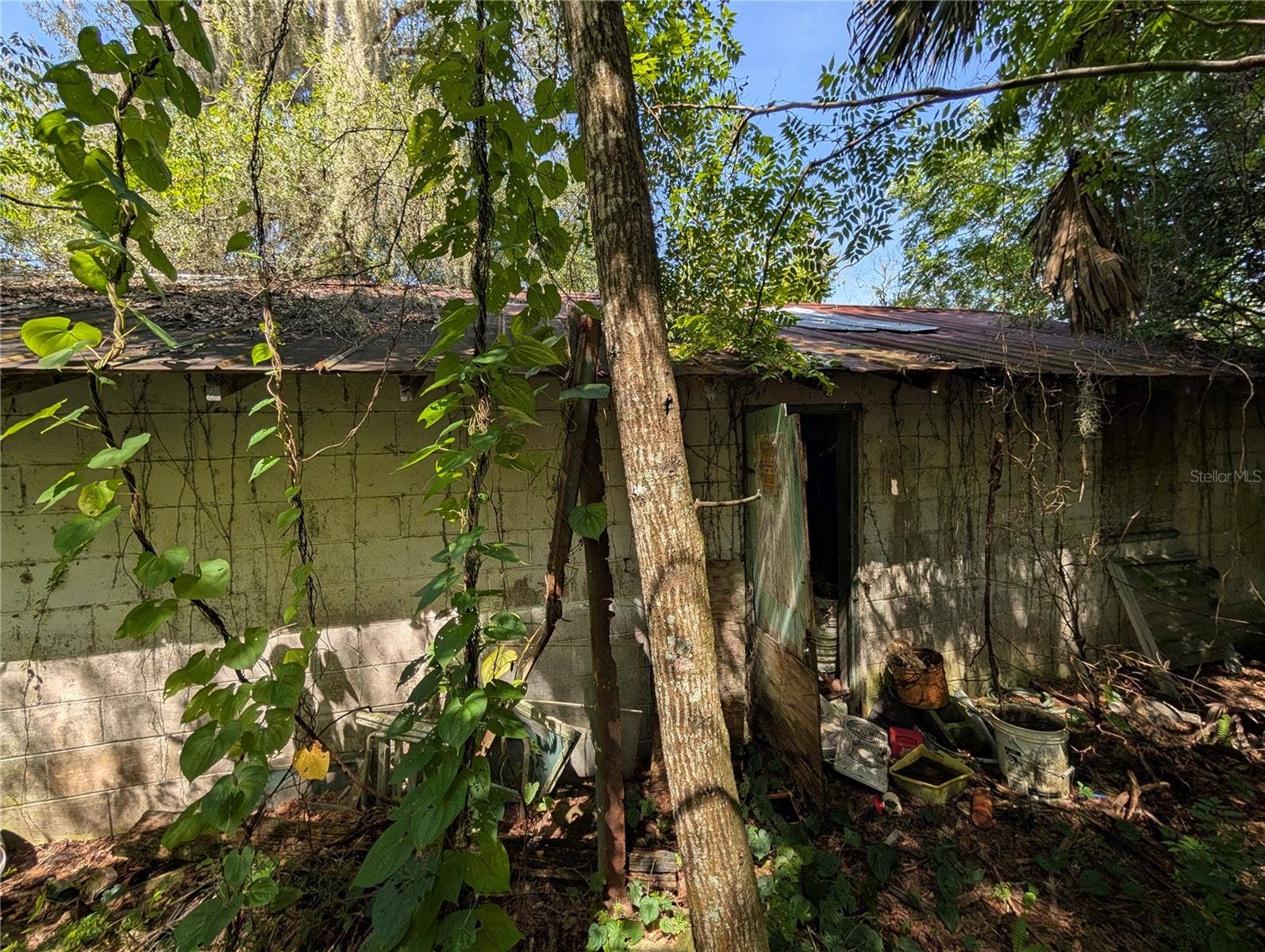 700 GRANT AVENUE, Deland, FL 32724 Side of detached garage