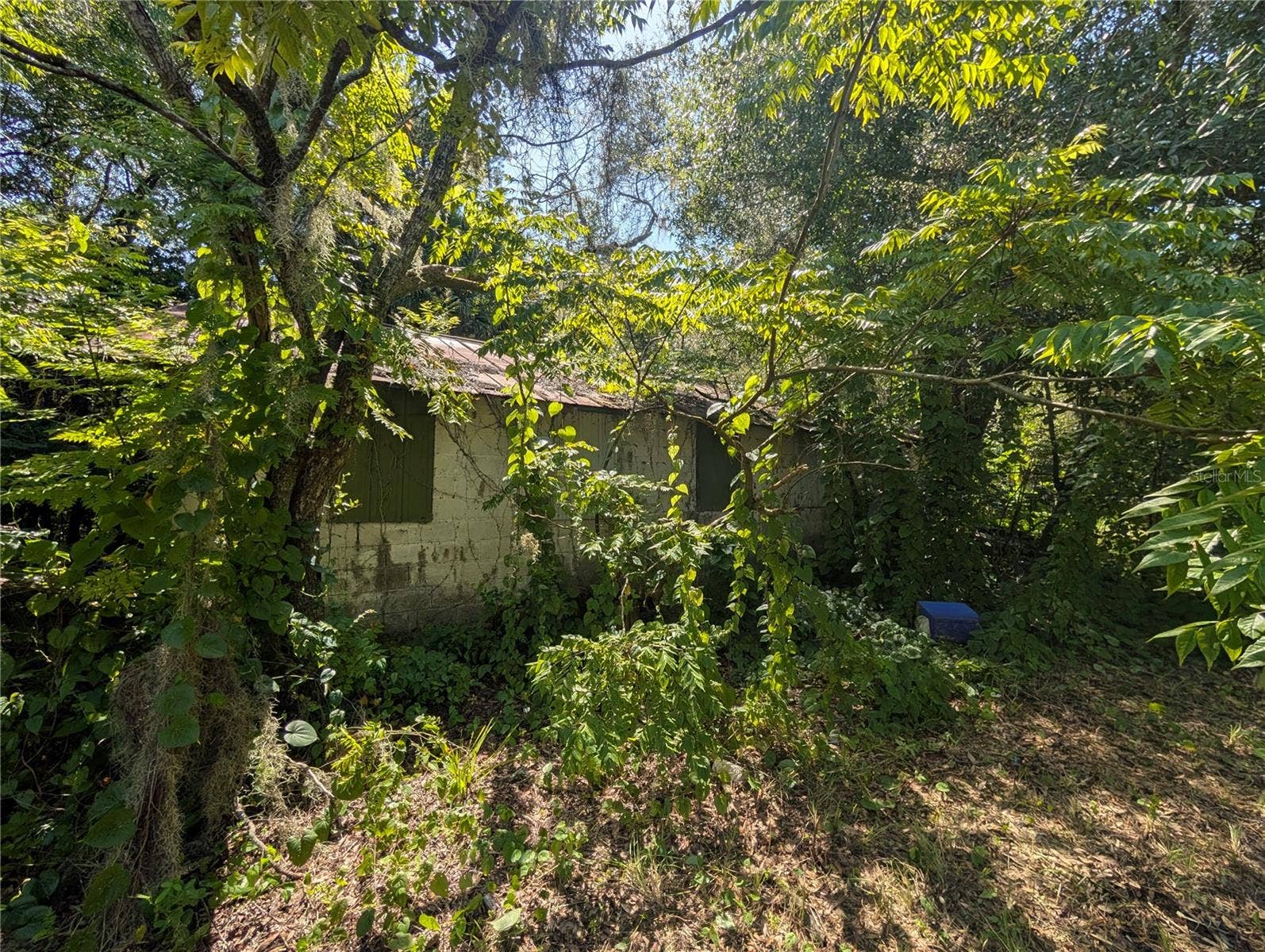 700 GRANT AVENUE, Deland, FL 32724 House to the left on the property. DO NOT ENTER.