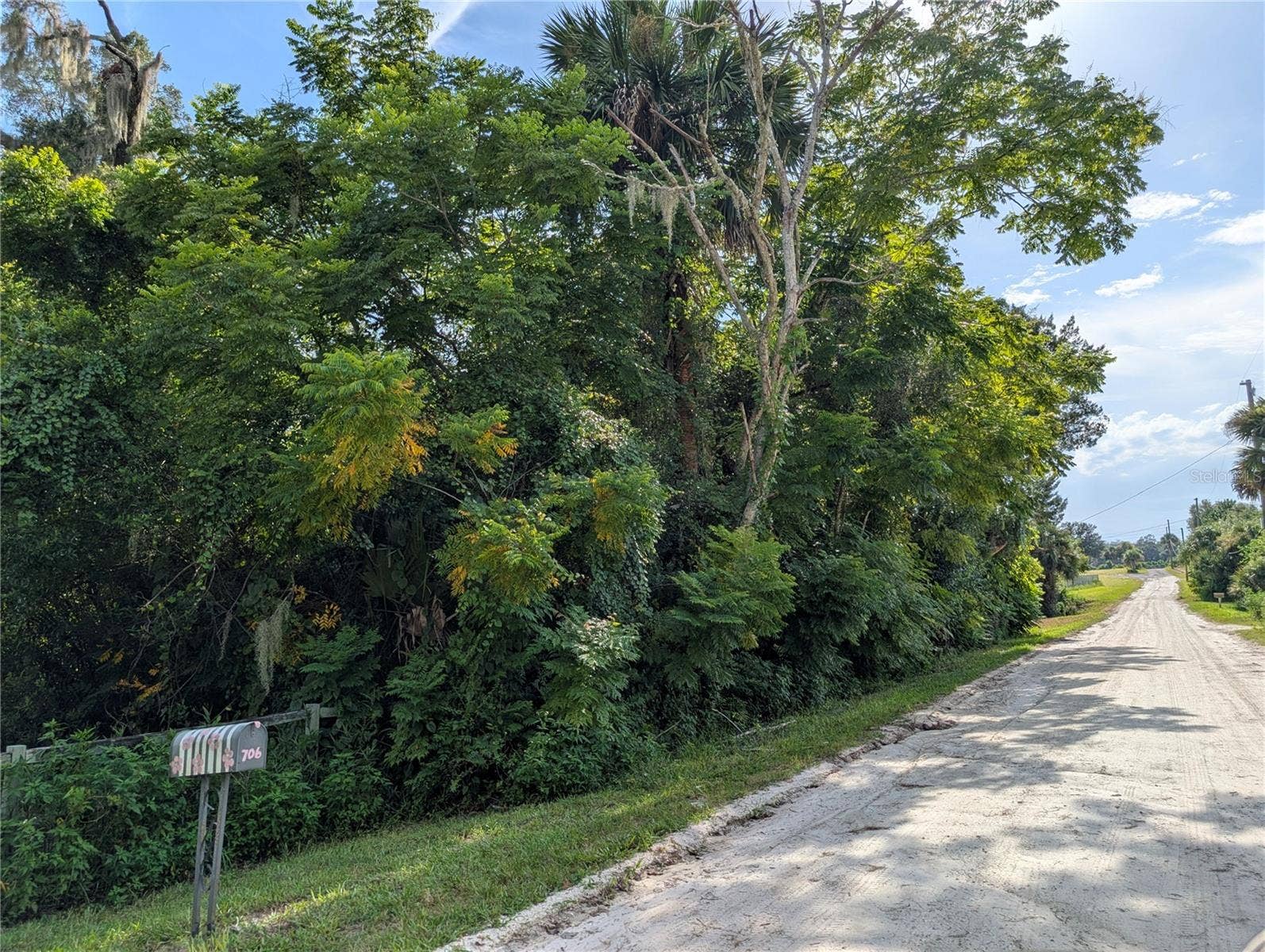 700 GRANT AVENUE, Deland, FL 32724 Looking from the neighbor's mailbox back towards the head of the street. You could build a house hidden in the woods!