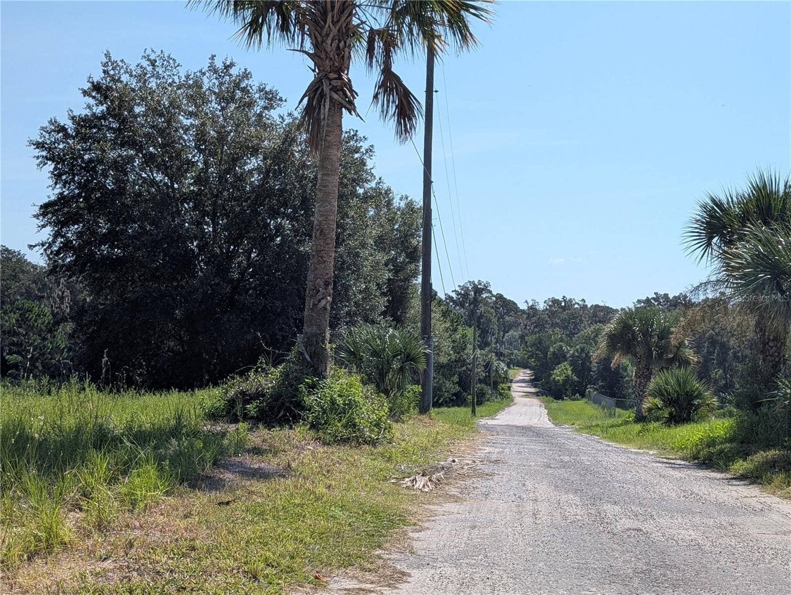 700 GRANT AVENUE, Deland, FL 32724 View down Grant Avenue to the property.