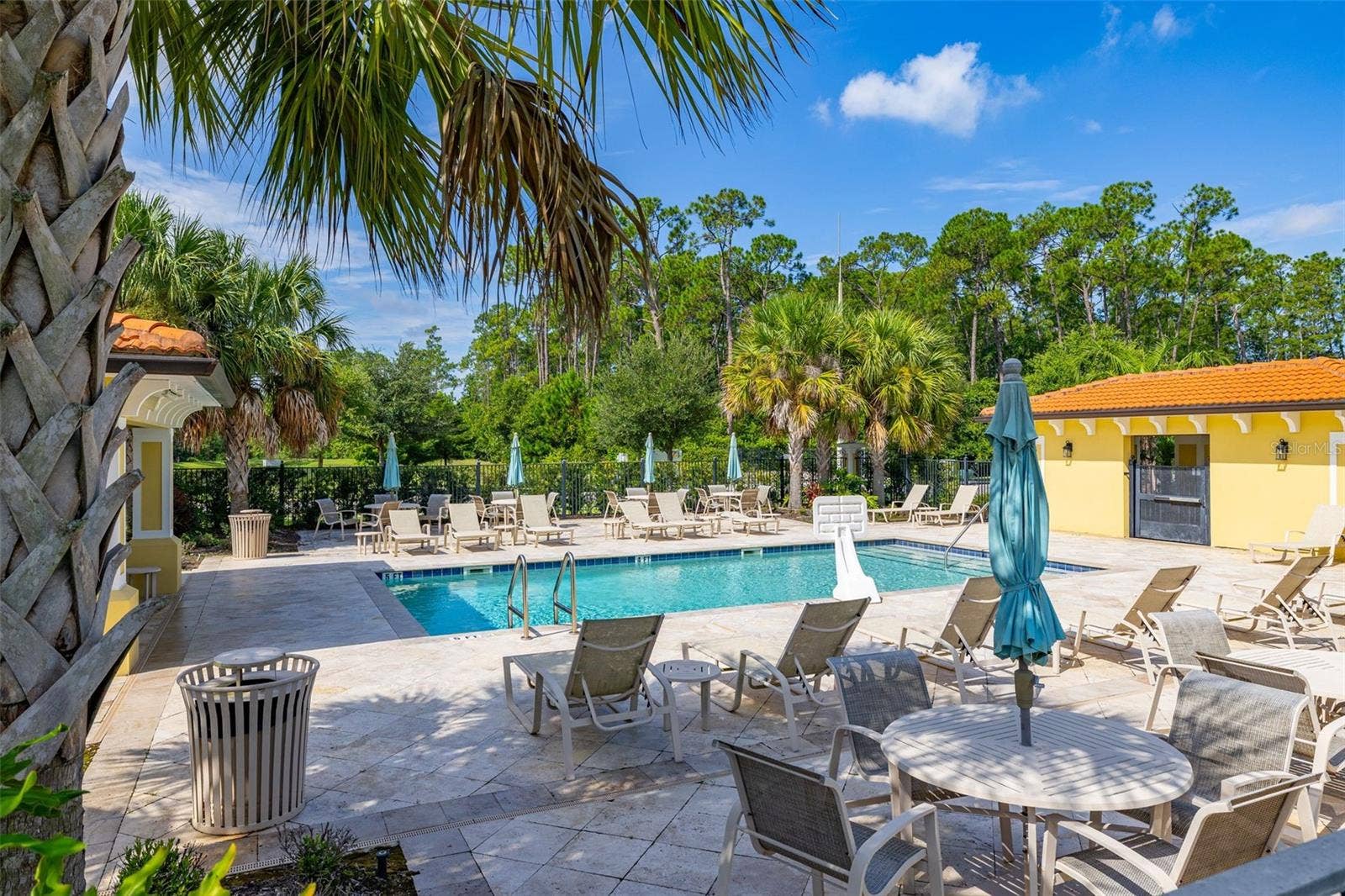 8291 PROCIDA ISLE LANE, Windermere, FL 34786 Community Pool.