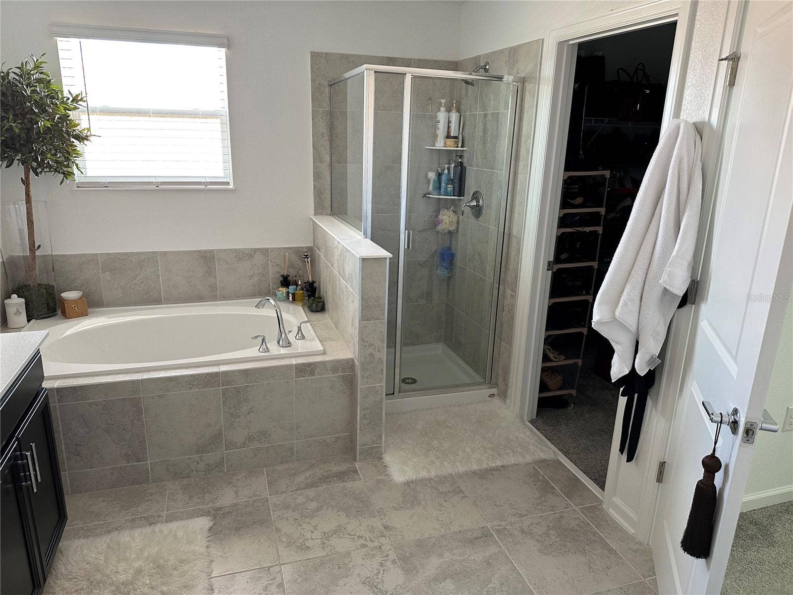 8946 FLUFFY LIE COURT, Davenport, FL 33896 Master bath 1
