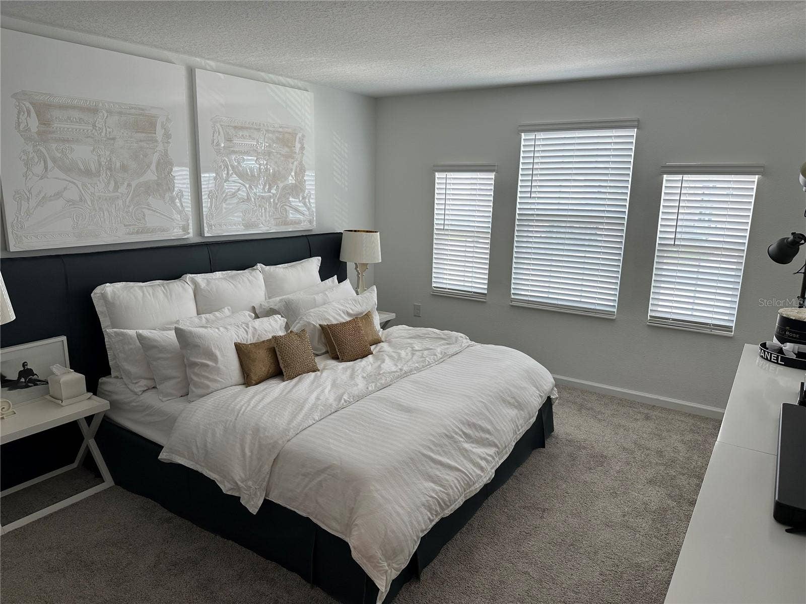 8946 FLUFFY LIE COURT, Davenport, FL 33896 Master bedroom 1