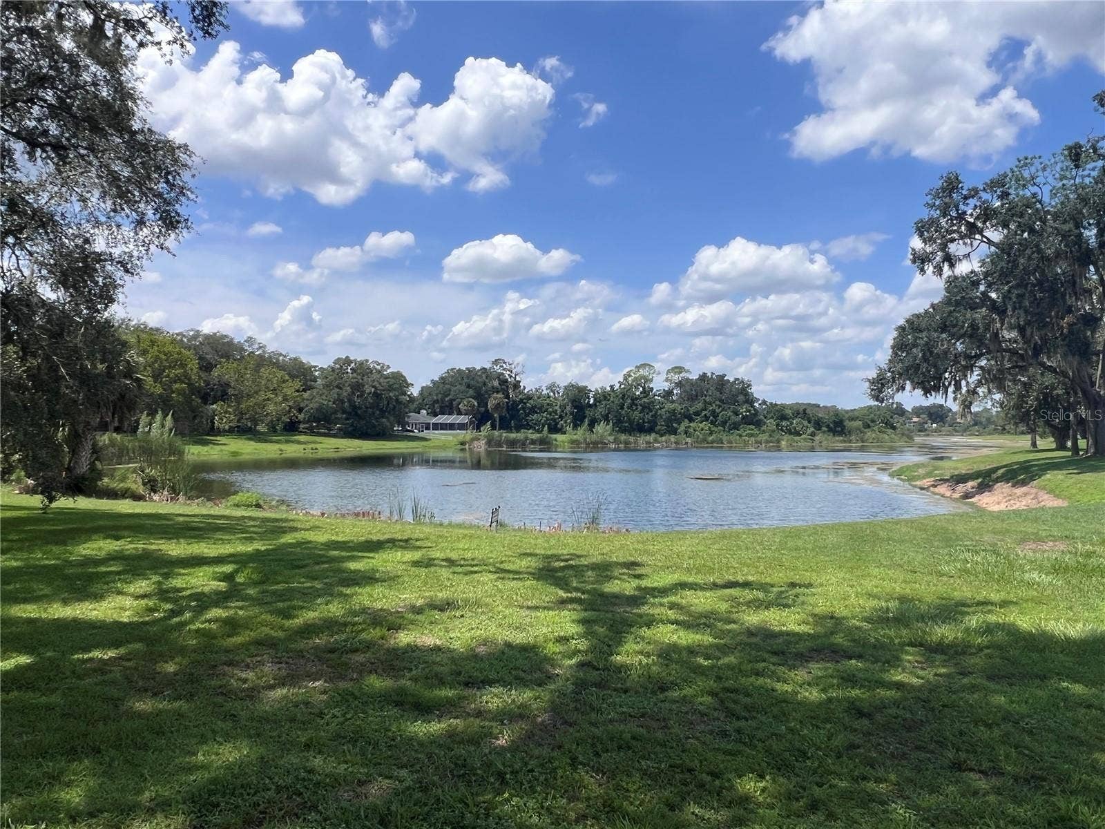 Lake view