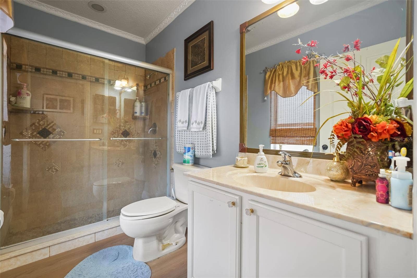 2491 PRAIRIE VIEW DRIVE, Winter Garden, FL 34787 2491 PRAIRIE VIEW DRIVE, Winter Garden, FL 34787