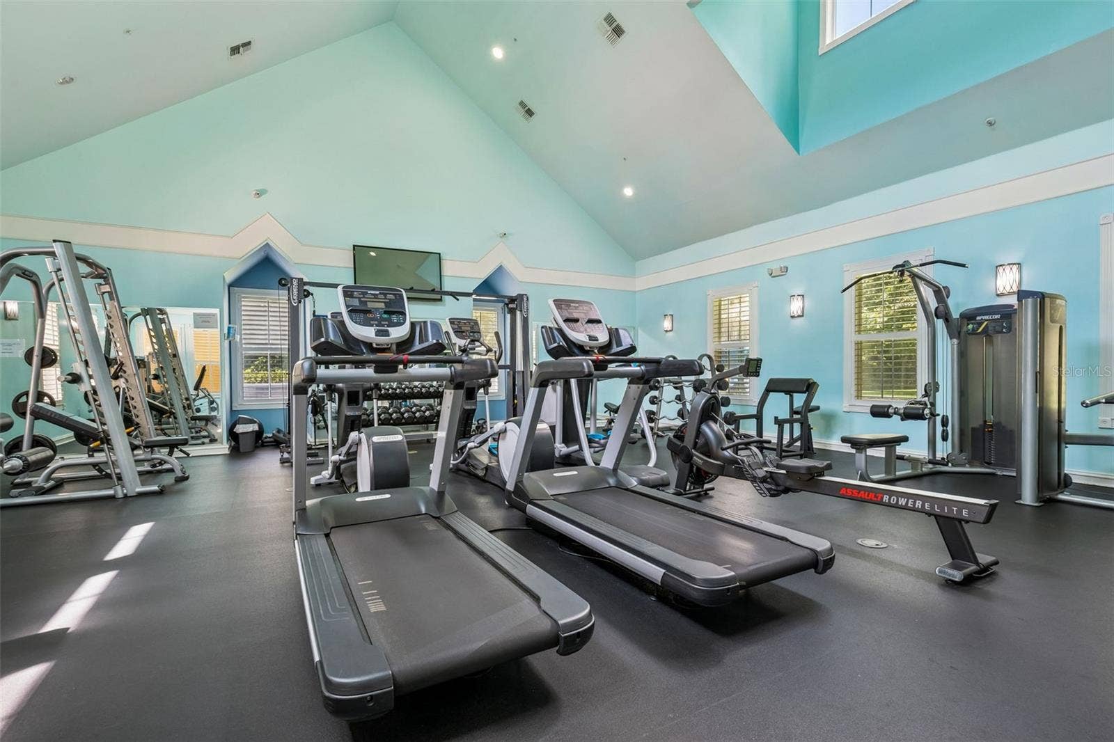239 LONGVIEW AVENUE, #311, Celebration, FL 34747 Fitness center