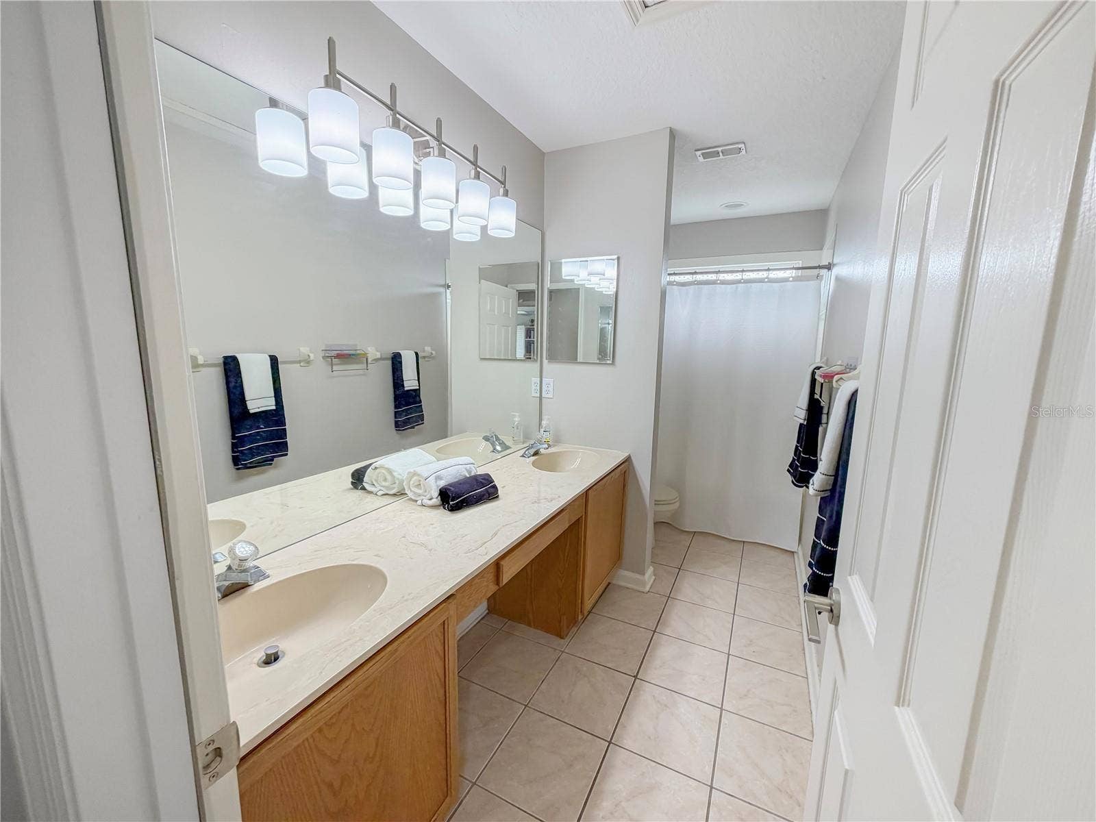 10172 WINDERMERE CHASE BOULEVARD, Gotha, FL 34734