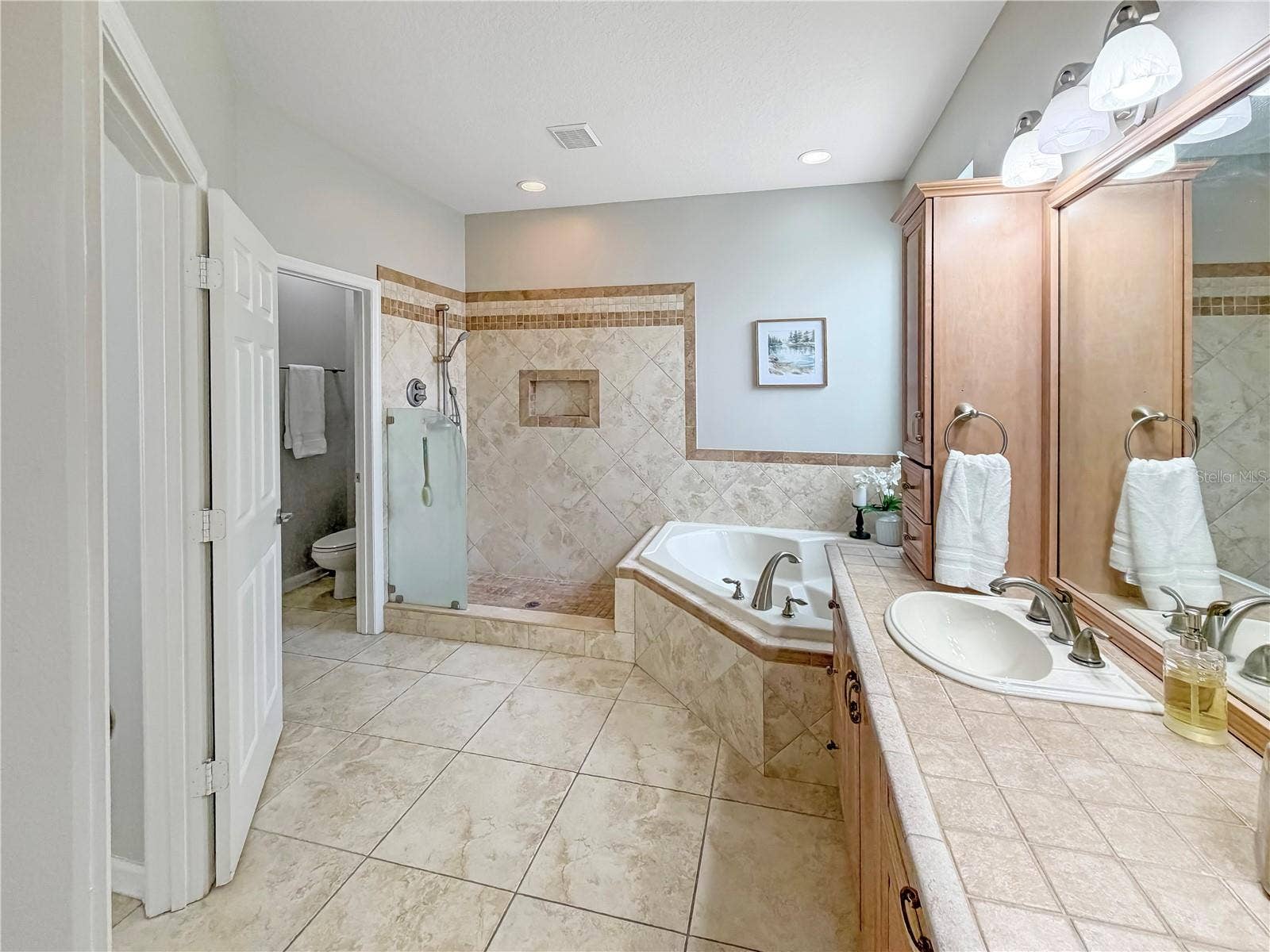 10172 WINDERMERE CHASE BOULEVARD, Gotha, FL 34734