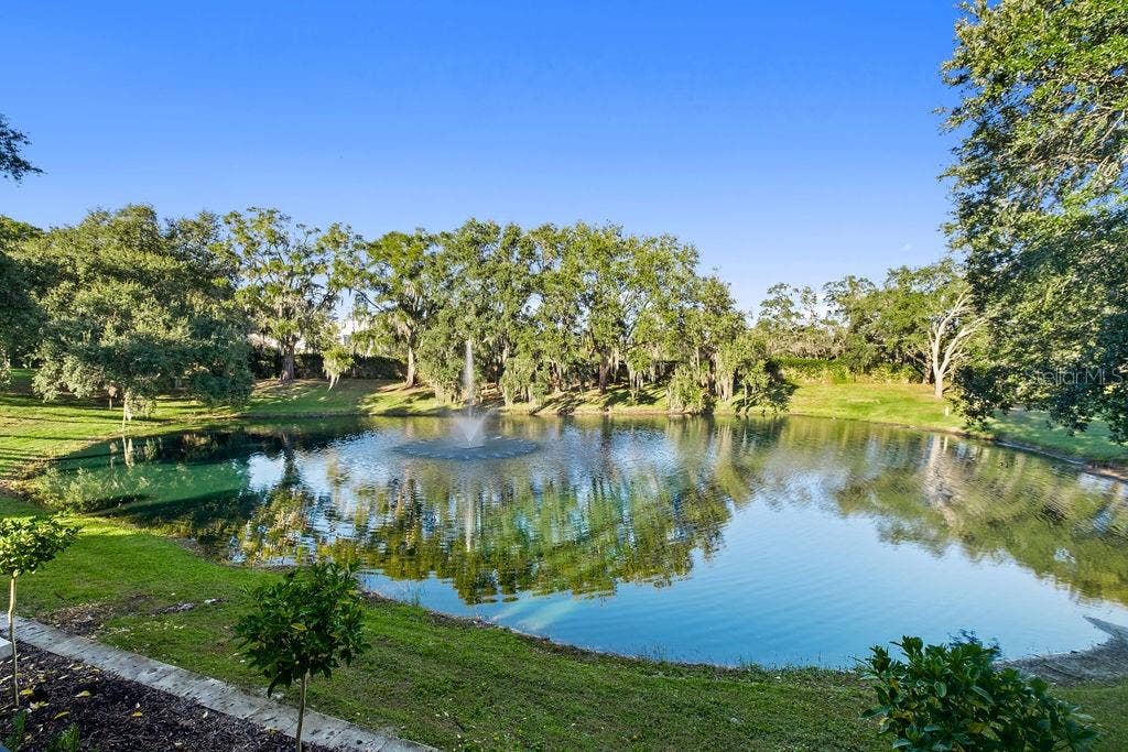 9725 CHESTNUT RIDGE DRIVE, Windermere, FL 34786 9725 CHESTNUT RIDGE DRIVE, Windermere, FL 34786