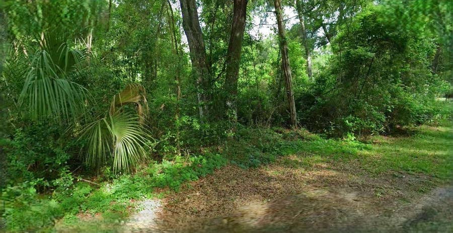 Property photo for 4226 N FOREST LAKE DRIVE, Hernando, FL