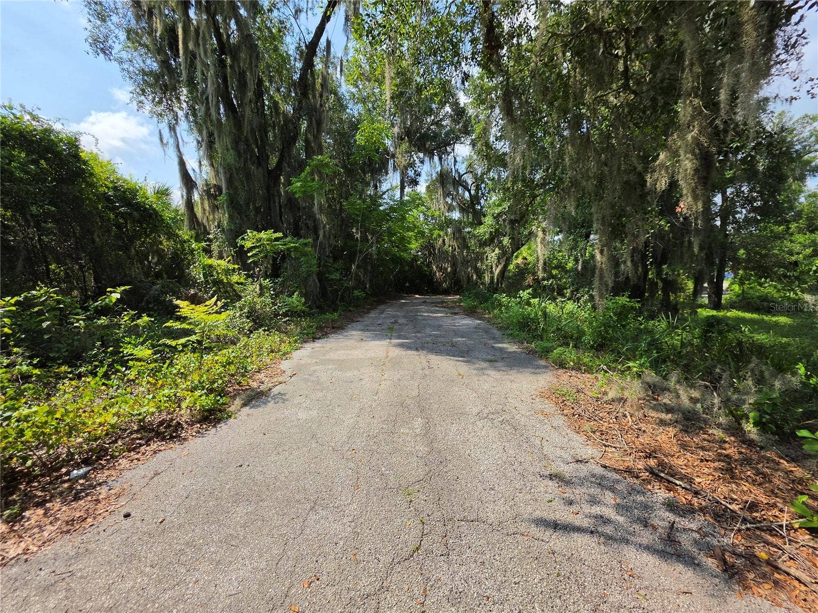 0 WEST PLYMOUTH AVENUE, Deland, FL 32720 0 WEST PLYMOUTH AVENUE, Deland, FL 32720