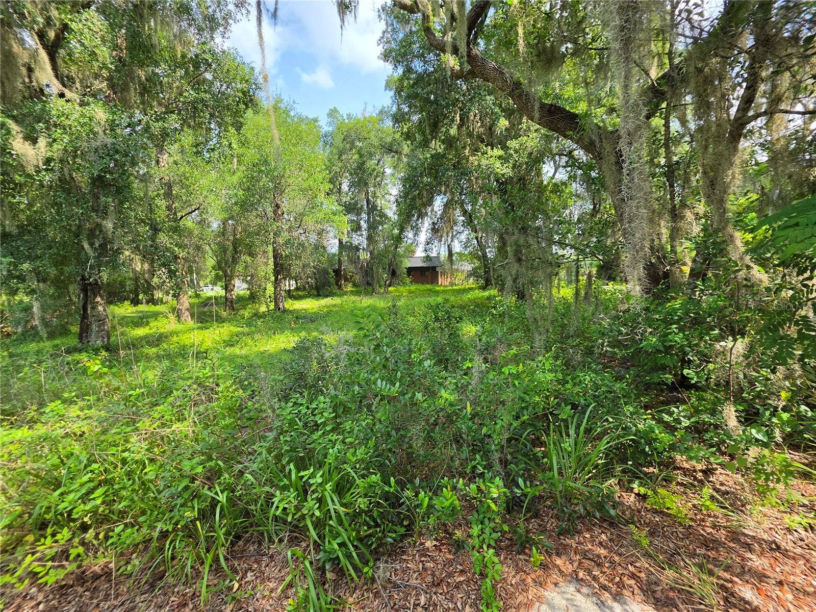 0 WEST PLYMOUTH AVENUE, Deland, FL 32720 0 WEST PLYMOUTH AVENUE, Deland, FL 32720