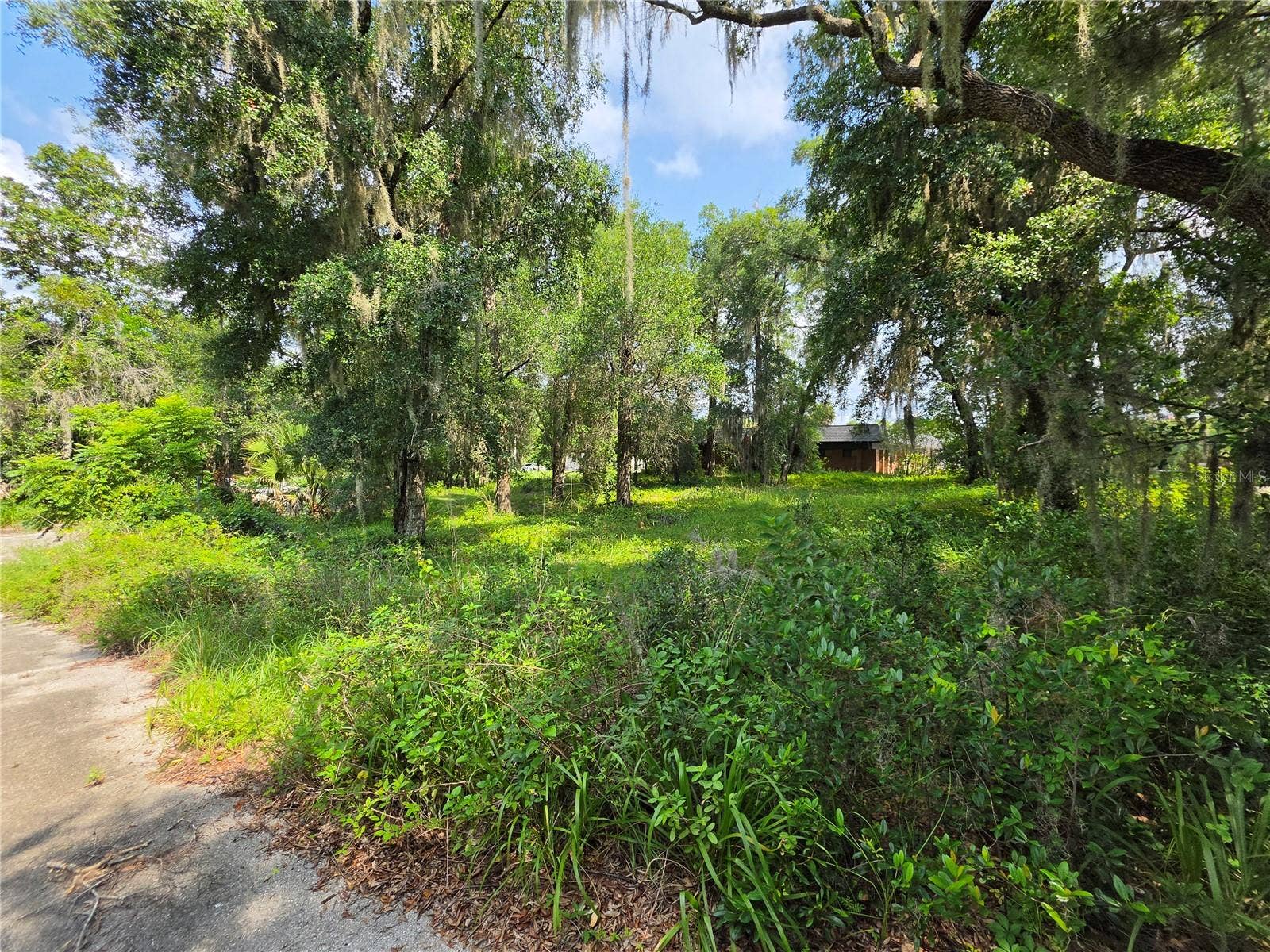 0 WEST PLYMOUTH AVENUE, Deland, FL 32720 0 WEST PLYMOUTH AVENUE, Deland, FL 32720
