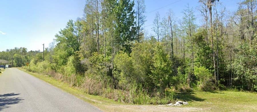 Property photo for 26611 C C LANE, Wesley Chapel, FL