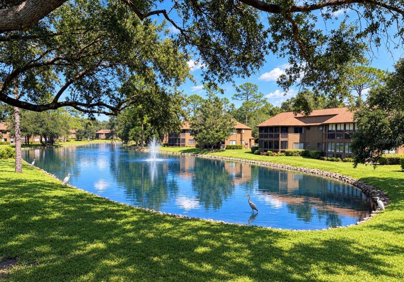 46 HEMBURY LANE, #46, Palm Coast, FL 32137 46 HEMBURY LANE, #46, Palm Coast, FL 32137