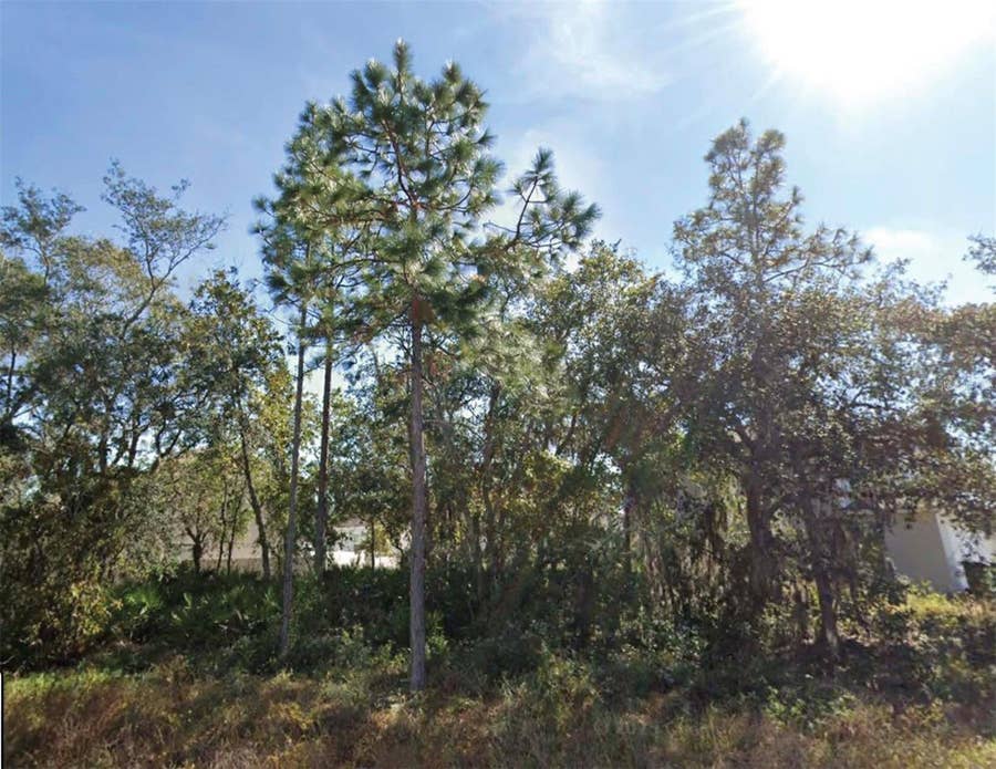 Property photo for 1626 PILCHARD COURT, Poinciana, FL
