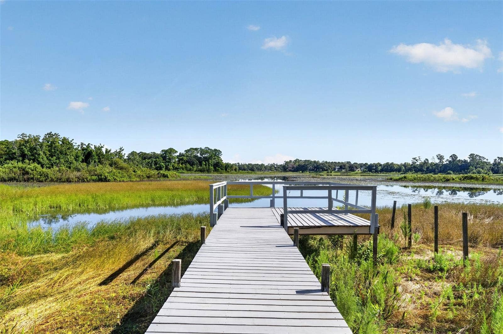 401 N 1ST STREET, Lake Mary, FL 32746 Lake view