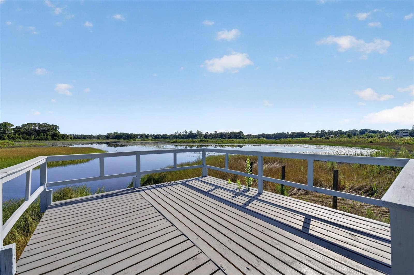 401 N 1ST STREET, Lake Mary, FL 32746 Dock