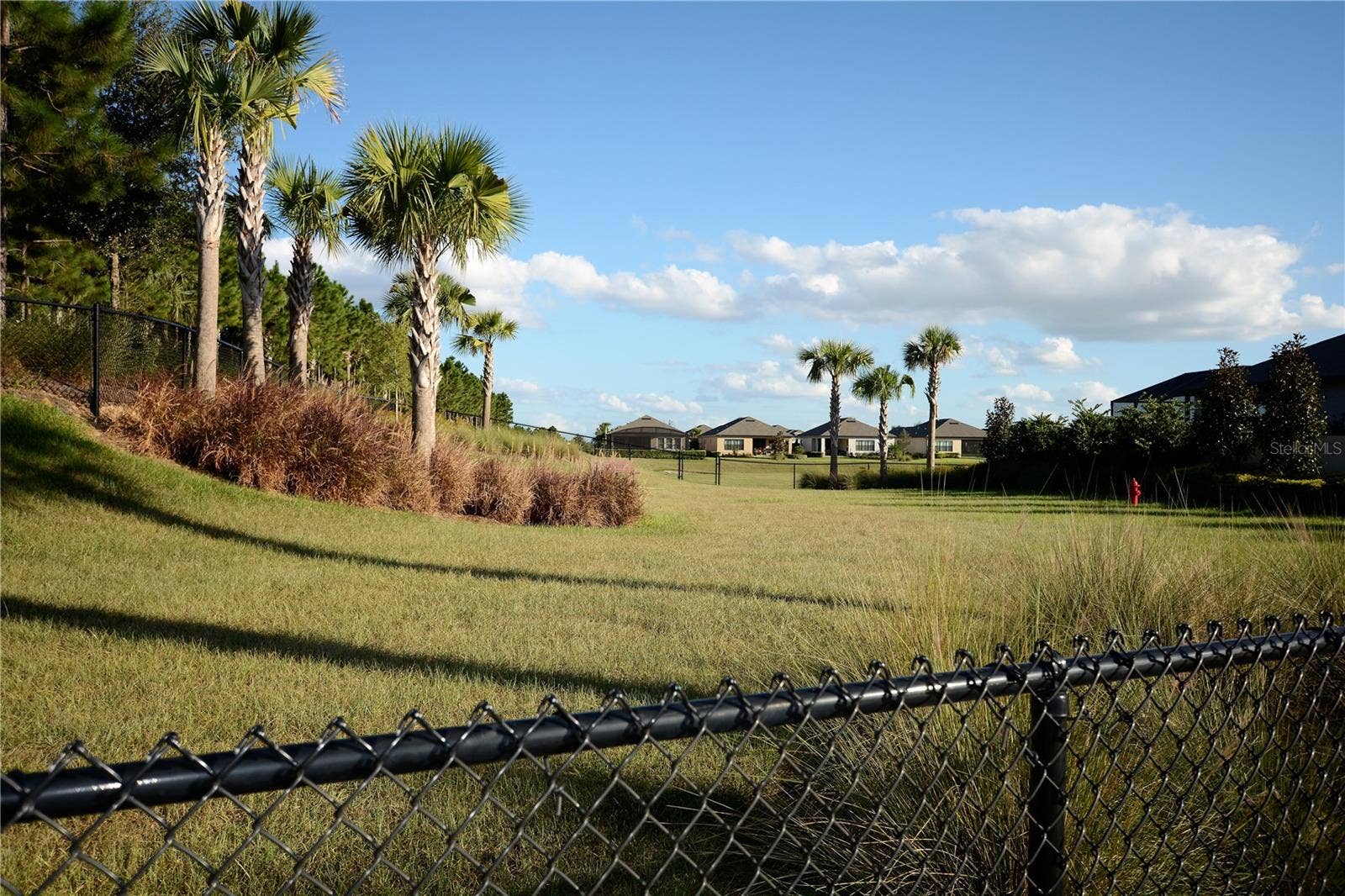 1279 ZEEK RIDGE STREET, Clermont, FL 34715 Esplanade Dog Park. We can't forget about our furry family members
