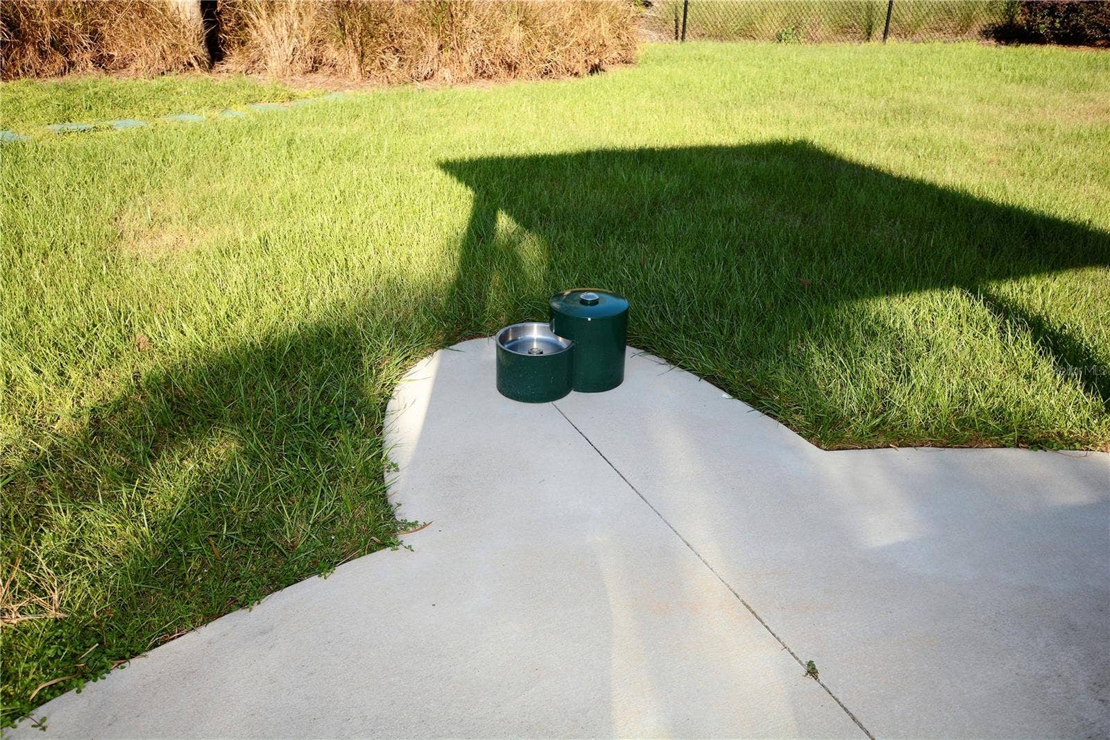 1279 ZEEK RIDGE STREET, Clermont, FL 34715 Dog Park Water Fountain