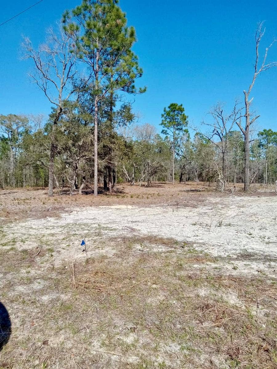 Property photo for 0 SE 125TH COURT, Dunnellon, FL