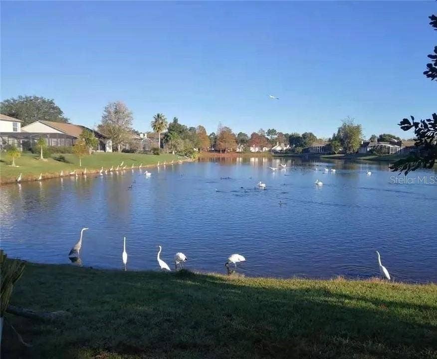 14601 POTANOW TRAIL, Orlando, FL 32837 14601 POTANOW TRAIL, Orlando, FL 32837